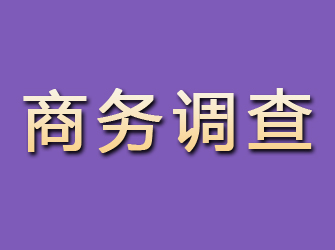 常山商务调查